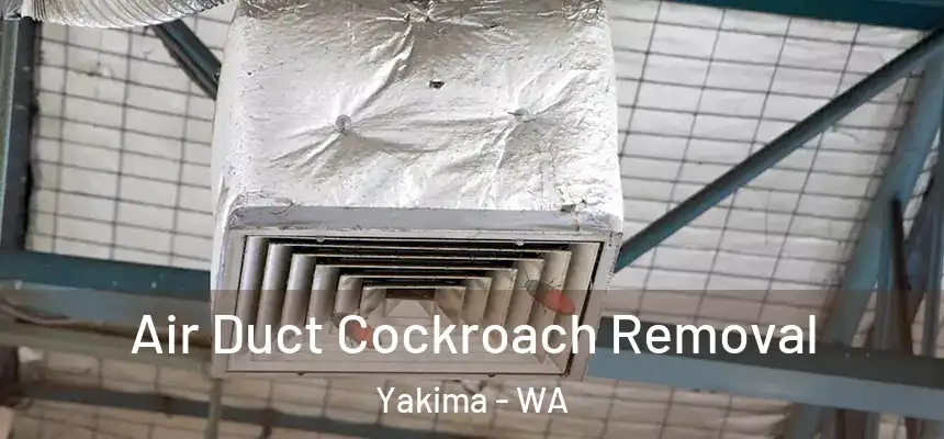 Air Duct Cockroach Removal Yakima - WA