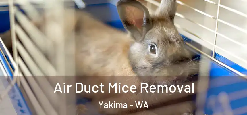 Air Duct Mice Removal Yakima - WA