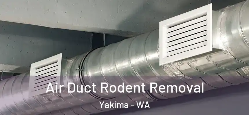 Air Duct Rodent Removal Yakima - WA