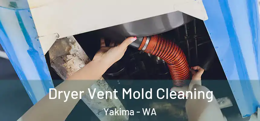 Dryer Vent Mold Cleaning Yakima - WA