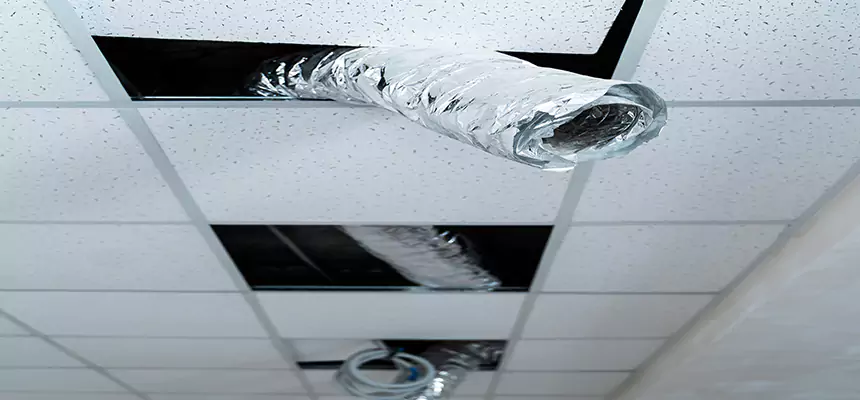 Affordable HVAC Sanitizing After Pest Removal in Yakima