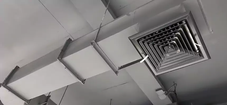 Our Pest Removal From Ducts Services in Yakima, WA