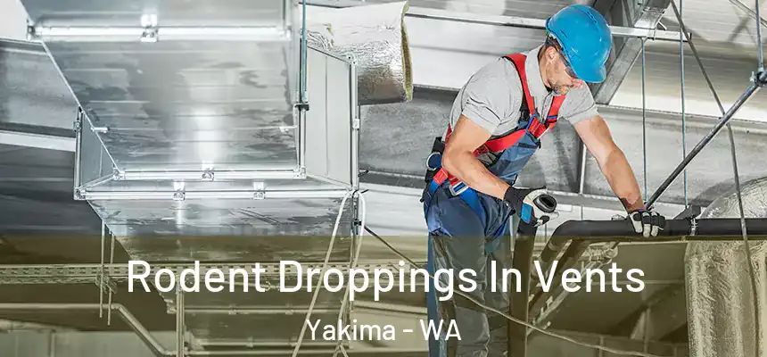 Rodent Droppings In Vents Yakima - WA