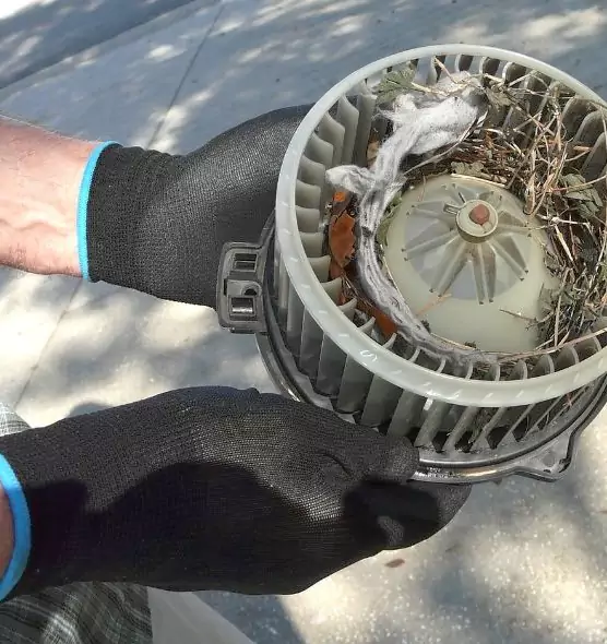 About Air Duct Mice Removal in Yakima, WA