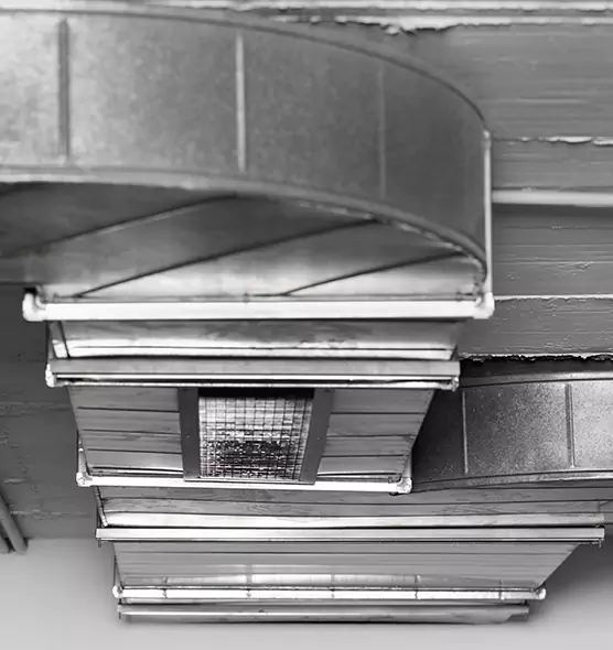 Professional Air Duct Pest Removal in Yakima, WA