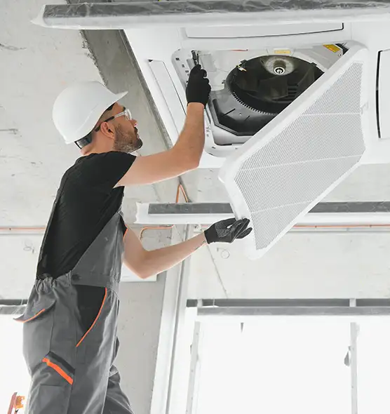 About Air Duct Rodent Removal in Yakima, WA