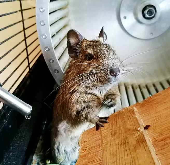 Why Homeowners & Businesses Trust Us Yakima, WA?